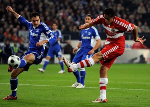 明星的响应 明星的响应